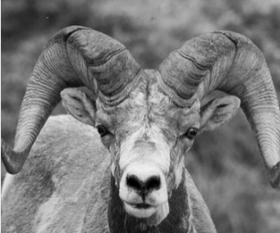 Real Estate Photography